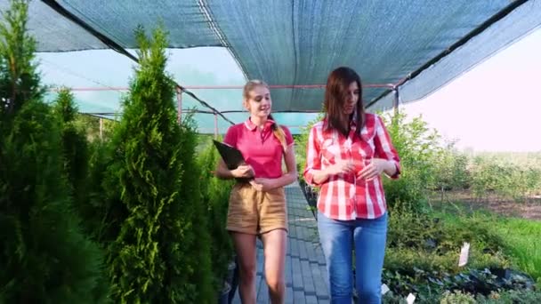 Koper en bloemist hebben een vriendelijk gesprek in de bloemenkas markt. Vrouw die planten kiest om te kopen in de tuin winkel. zaken doen en winkelen. bloemisten, tuinieren. — Stockvideo