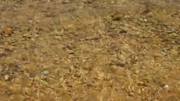 Primer plano, agua de mar clara, fondo rocoso húmedo amarillo, arrecife muerto. los rayos del sol y la luz se reflejan en el agua. — Vídeo de stock