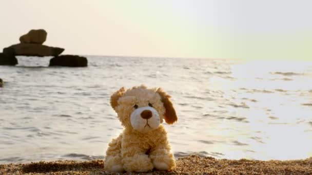 Közelkép, játék kutya ül a homokos strandon magányos, hátterében a tenger, napfelkelte vagy naplemente. — Stock videók