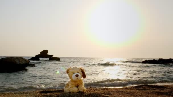 Juguete perro se sienta en una playa de arena solitaria, contra el telón de fondo del mar, amanecer o atardecer. — Vídeos de Stock