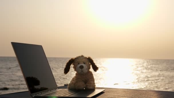 Primer plano, un ordenador portátil abierto y un perro de juguete yacen sobre la mesa a la luz del sol, sobre el fondo del amanecer o la puesta de sol junto al mar. — Vídeos de Stock