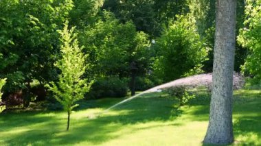 Yeşil çimlerin üzerinde, parkta ya da bahçede fıskiyeler çalışıyor. Çimlerin sulanması için otomatik sulama sistemi veya aygıtı