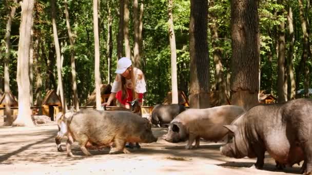 Niño, niña acariciando a un niño pequeño de cabra, en un zoológico de mascotas o en una granja. se encuentra entre varias cabras y cerditos. la chica es muy feliz. — Vídeo de stock