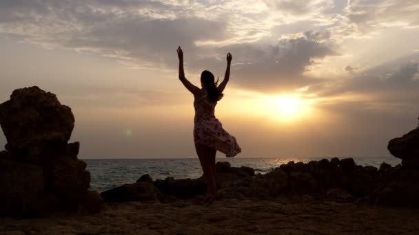 Vista trasera, silueta oscura de una joven mujer de pie junto al mar, al amanecer. el viento sopla su vestido — Vídeo de stock