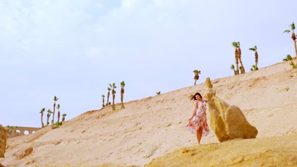Una hermosa joven con un vestido ligero, revoloteando en el viento, se encuentra junto a una gran piedra, sobre el telón de fondo del desierto, con palmeras individuales. — Vídeo de stock