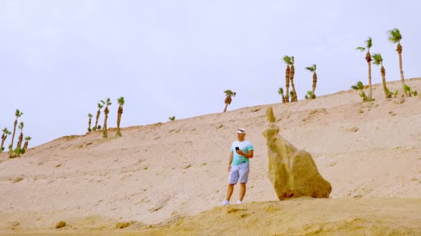 Stilig idrottsman talar på mobilen, står vid en stor sten, mot öknen bakgrund, med enkla palmer. koncept för modern kommunikationsteknik, internet, mobiloperatörer — Stockvideo