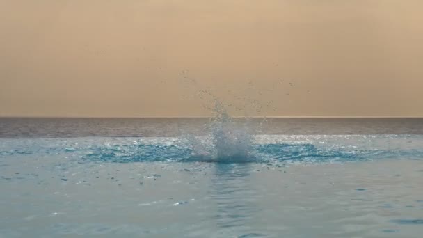 Man zwemt vakkundig, met een beroerte, werkt techniek in outdoor infinity zwembad met panoramisch uitzicht op zee, bij zonsopgang. sport, reizen en vakantie concept — Stockvideo