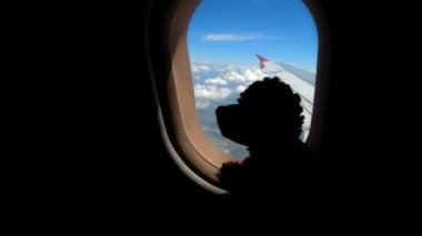 Yakın plan. Koyu renk siluet, arka planda oyuncak bir köpeğin ana hatları, aydınlatıcı. .