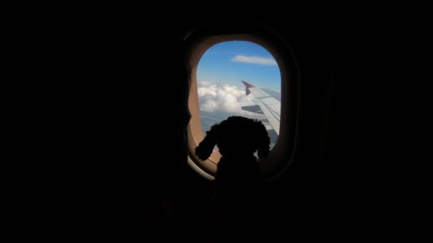 Κοντινό πλάνο. σκούρο σιλουέτα, περιγράμματα ενός σκύλου παιχνίδι στο παρασκήνιο του παραθύρου του αεροπλάνου, φωτισμός . — Αρχείο Βίντεο