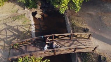 Tekerlekli sandalye. Engelli adam. Hava videosu. Otomatik tekerlekli sandalyedeki engelli genç bir adam şehir parkında küçük bir köprüden geçiyor. Aile, güneşli bir sonbahar gününde yürür..