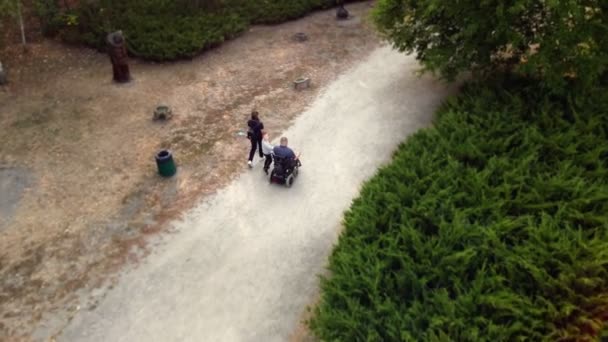 Wheelchair man. Handicapped man. young disabled man in automated wheelchair walks with his family, wife and small child, in park, on sunny autumn day. back view. aero — Stock Video