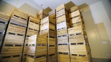 Elma deposu. Depo. Meyve için tahta sandıklar, soğuk depolama deposunda elma dolu kutular. Depoda kocaman bir buzdolabı havasız depolama kamerası var. elma hasadı