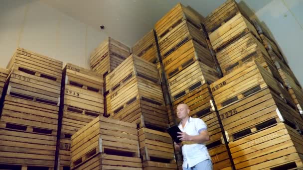 Apfellagerung. Lagerhaus. Stapeln von Holzkisten mit Äpfeln in riesigen Airless-Kühlschrank Kamera. Ein männlicher Mitarbeiter mit digitalem Tablet arbeitet im Lager. Apfelernte — Stockvideo