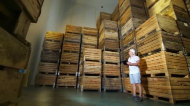 Elma deposu. Depo. Kocaman havasız depolama kamerasında elma dolu ahşap sandıklar. Depoda çalışan dijital tabletli erkek çalışan. elma hasadı