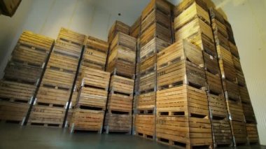 Elma deposu. Depo. Meyve için tahta sandıklar, soğuk depolama deposunda elma dolu kutular. Kocaman, havasız bir buzdolabı kamerası. elma hasadı