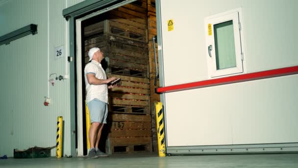 Almacenamiento de manzana. almacén. empleado masculino con tabletas digitales trabaja en el almacén. telón de fondo de la enorme cámara frigorífica de almacenamiento con cajas de madera en pilas con manzanas. cosecha de manzana — Vídeo de stock