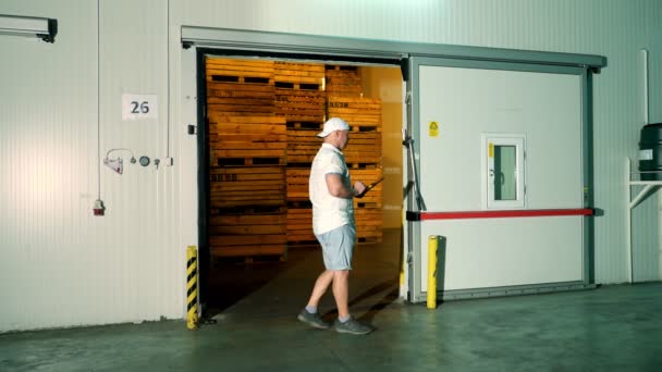 Хранилище яблок на складе. работник мужчина с цифровым планшетом работает на складе. фоном огромного холодильника с деревянными ящиками в стопках с яблоками. урожай яблок — стоковое видео
