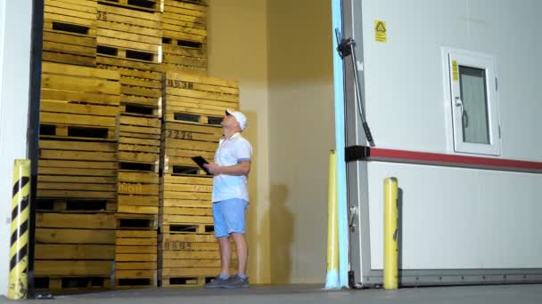 Хранилище яблок на складе. работник мужчина с цифровым планшетом работает на складе. фоном огромного холодильника с деревянными ящиками в стопках с яблоками. урожай яблок — стоковое видео