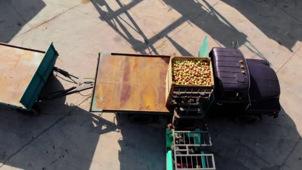 リンゴの収穫。フォークリフトトラックは、屋外で、収穫されたリンゴと木製のクレートでいっぱいのトラックをアンロードします。ローダーはリンゴの箱を倉庫に転送して保管します。アエロ。トップビュー. — ストック動画