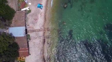 Ibiza 'da tenha bir sahil olan Cala Llentrisca, el değmemiş turkuaz suları ve çevreleyen yeşil manzarayı vurguluyor. dikey kuş bakışı dron 