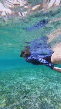 Suyun altında yüzen, deniz tabanını ve deniz yaşamını izleyen bir kadın.