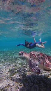Yavaş hareket eden denizci kadın, berrak okyanus suyunda bir deniz kaplumbağasının yanında yüzüyor.