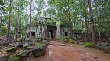 Yağmurlu bir günde Kamboçya ormanının derinliklerinde yosunlarla kaplı antik taş tapınak kalıntıları.