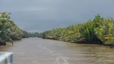 Bereketli bitki örtüsü, Borneo 'daki sularda yüzen bir tekne gibi mekong nehir delta kanalının kıyılarında.