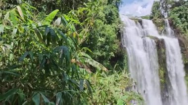 Güneşli bir günde, verimli bir tropikal yağmur ormanında kayaların üzerinde güçlü bir şelale gibi akan su.