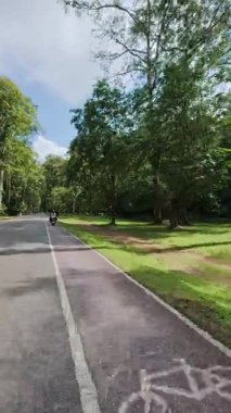 Çevresi yemyeşil bir ormanla çevrili asfalt bir yolda hareket halindeki bir araçtan çekilen görüntü.