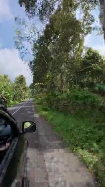 Çevresi yemyeşil tropikal bitki örtüsüyle çevrili kırsal bir yolda araba kullanan yolcuların bakış açısı