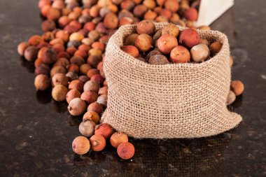 Corozo tropikal meyve - Bactris guineensis