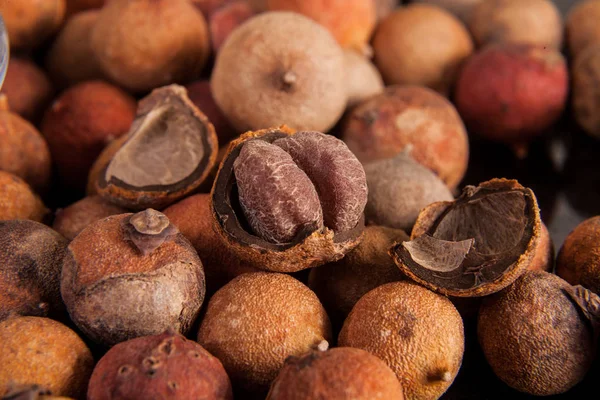 Τροπικά Φρούτα Corozo Βακτρίς Guineensis — Φωτογραφία Αρχείου