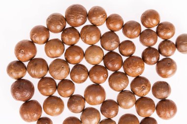 Macadamia fıstığı veya beyaz zemin üzerine Avustralya ceviz