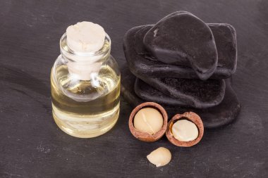 Macadamia fındık yağı veya Avustralya cevizi, siyah arka plan üzerinde fotoğraf