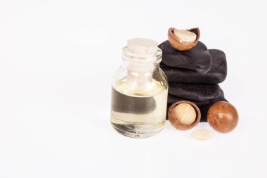 Macadamia fındık yağı veya beyaz zemin üzerine Avustralya ceviz