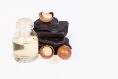 Macadamia fındık yağı veya beyaz zemin üzerine Avustralya ceviz