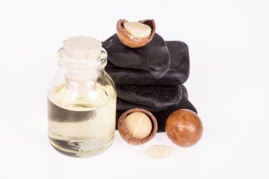 Macadamia fındık yağı veya beyaz zemin üzerine Avustralya ceviz