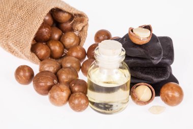 Macadamia fındık yağı veya beyaz zemin üzerine Avustralya ceviz