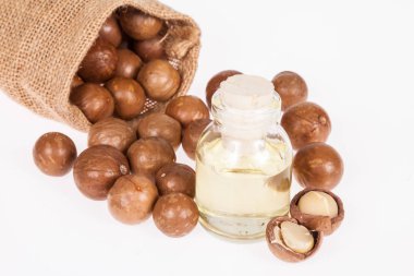 Macadamia fındık yağı veya beyaz zemin üzerine Avustralya ceviz