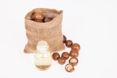 Macadamia fındık yağı veya beyaz zemin üzerine Avustralya ceviz