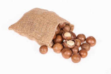 Macadamia fıstığı veya beyaz zemin üzerine Avustralya ceviz