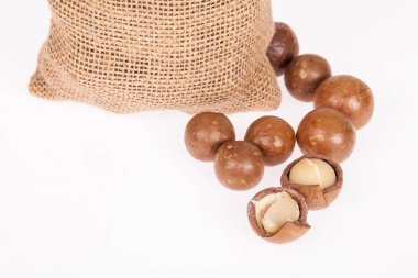 Macadamia fıstığı veya beyaz zemin üzerine Avustralya ceviz