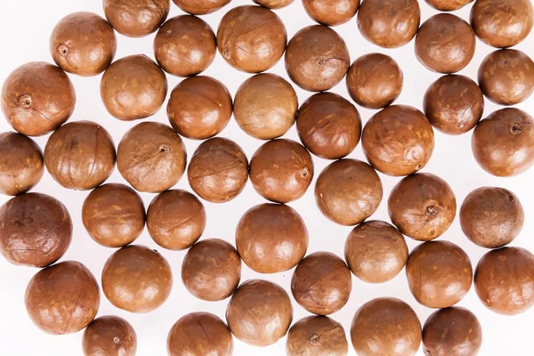 Macadamia fıstığı veya beyaz zemin üzerine Avustralya ceviz