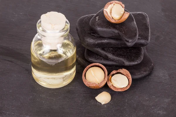 Macadamia fındık yağı veya Avustralya cevizi, siyah arka plan üzerinde fotoğraf