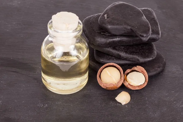 Macadamia fındık yağı veya Avustralya cevizi, siyah arka plan üzerinde fotoğraf