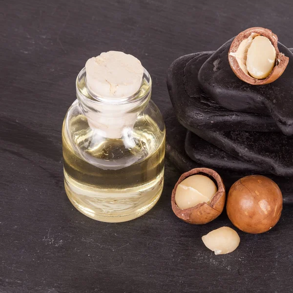 Macadamia fındık yağı veya beyaz zemin üzerine Avustralya ceviz