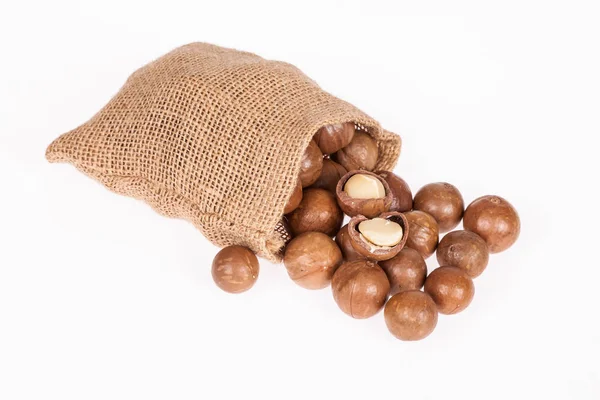 Macadamia fıstığı veya beyaz zemin üzerine Avustralya ceviz