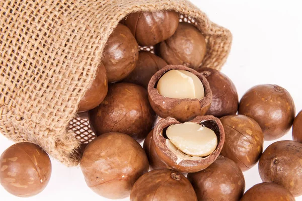 Macadamia fıstığı veya beyaz zemin üzerine Avustralya ceviz