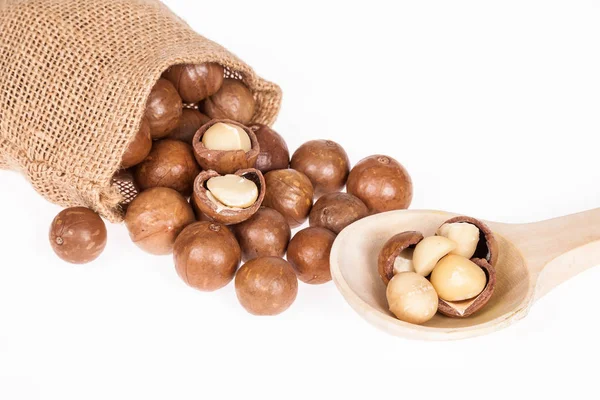 Macadamia fıstığı veya beyaz zemin üzerine Avustralya ceviz